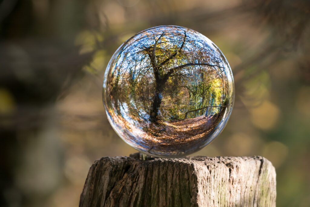 Image courtesy of Pexels
